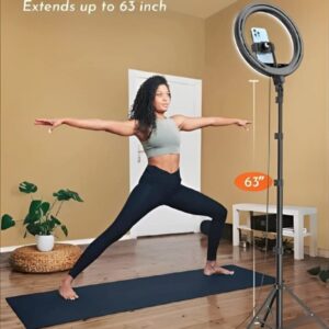26cm Led Ring Light With Mobile Holder